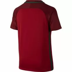 Nike Football Nike Portugal 2016 Home Jersey
