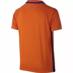 Nike Football Nike Netherlands 2016 Home Jersey